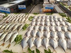 -欢乐海岸美食联盟