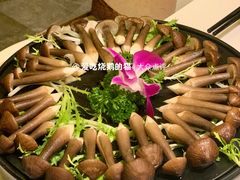 -润泽园椰子鸡(汇一城店)