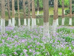 -新洲生态园