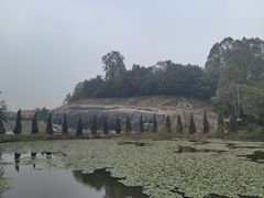 -三水森林公园