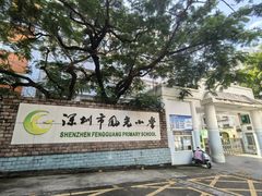 -深圳市凤光小学
