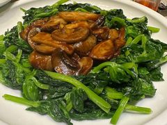 豆苗杏鲍菇-清水蘭軒