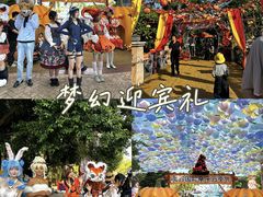 -灵玲国际马戏城