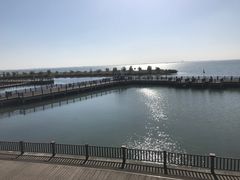 -新木器时代餐厅(太湖新天地店)