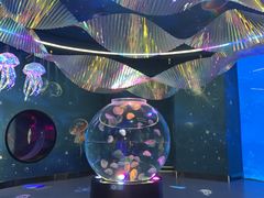 -南昌融创海世界