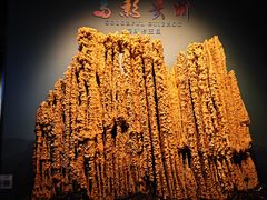 -贵州省地质博物馆
