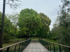 -尚贤河湿地