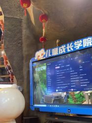 -卡通尼·Safari非洲探索乐园·生日会(金桥国际商业广场店)