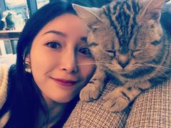 -吉丁鸟咖·异宠·寄养