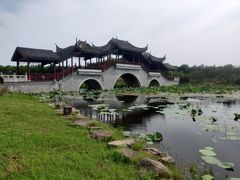 -上海海湾国家森林公园