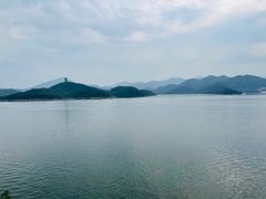 -望湖烤鱼