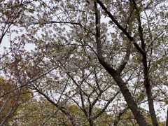 -上海交通大学(闵行校区)