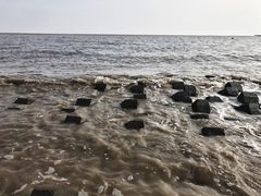 -南汇嘴观海公园
