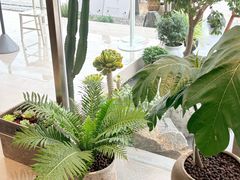 -喜茶(珠海华发商都店)