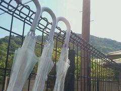 -枸杞岛