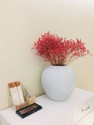 -深圳原色医疗美容