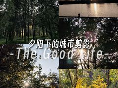 -森林公园(尖草坪区)