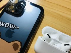 -Apple零售店(成都太古里店)