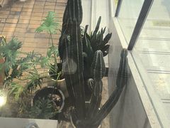 -石家庄万象城