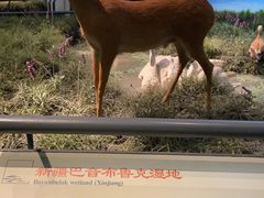 -中国湿地博物馆
