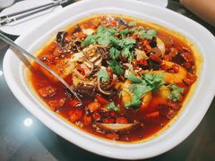 毛血旺-东坡酒家(天塔店)