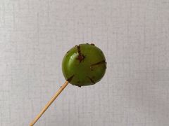 -雪儿钱局泡菜