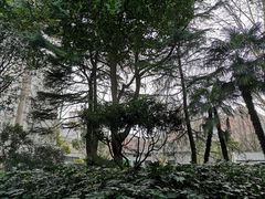 -华山儿童公园