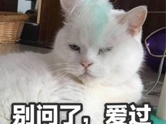-盖邑扁食店