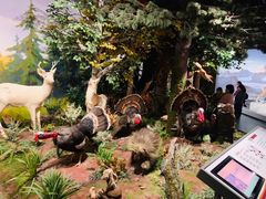 -陕西自然博物馆