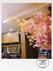 -红人馆造型世爵国际