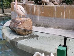 -灵玲国际马戏城