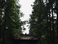 -青城山