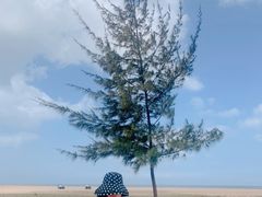 -白沙门生态公园