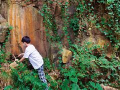 -上海佘山国家森林公园西佘山园