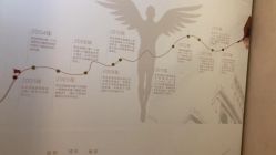 -熙朵美学植发·连锁品牌