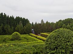 -四门塔风景区