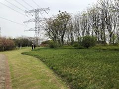 -九里河湿地公园