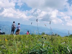 -白草畔自然风景区