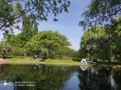 -上海共青森林公园