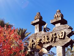 -田野绿世界