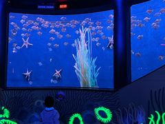 -沈阳海洋探索中心