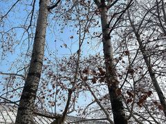 -秦始皇帝陵博物院(兵马俑)