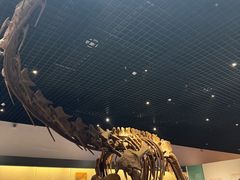 -衢州市博物馆