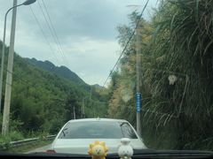 -将军关探险漂流