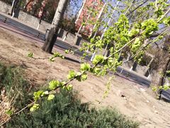-白水寺森林公园