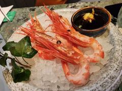 -普朗姆生蚝牛排馆 The Plump Oyster(成都摩方购物中心店)