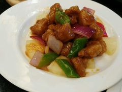 -新兴·金羊座·粤菜点心(乐峰店)