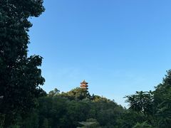 -深圳仙湖植物园