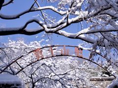 -莫干山风景区
