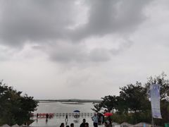 -盐城丹顶鹤湿地生态旅游区